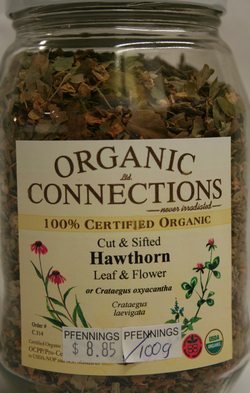 Hawthorne Leaf & Flower